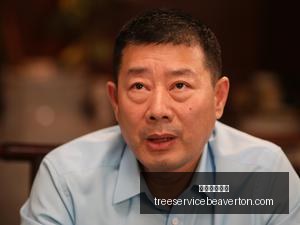 亚冠赛场上,辽宁队遭遇,滑铁卢,赌网平台推荐官网,赌网平台推荐App,赌网平台推荐下载,赌网平台推荐登录,赌网平台推荐平台